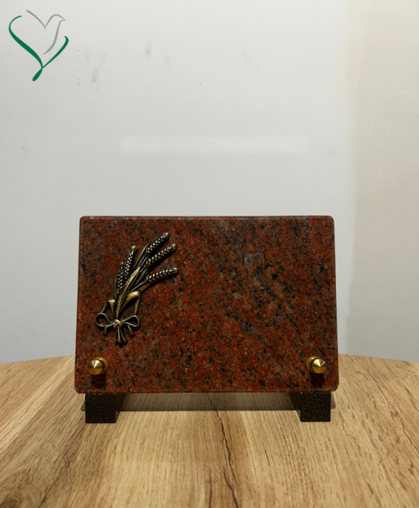 plaque ble pm