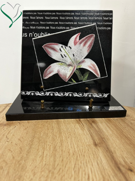 plaque iris