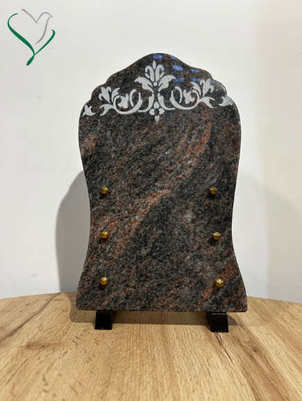 plaque 3 inters