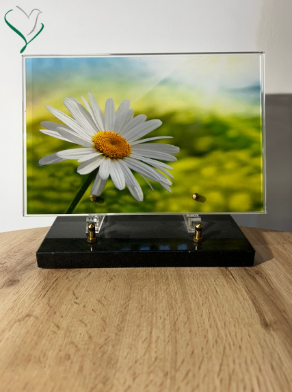 marguerite