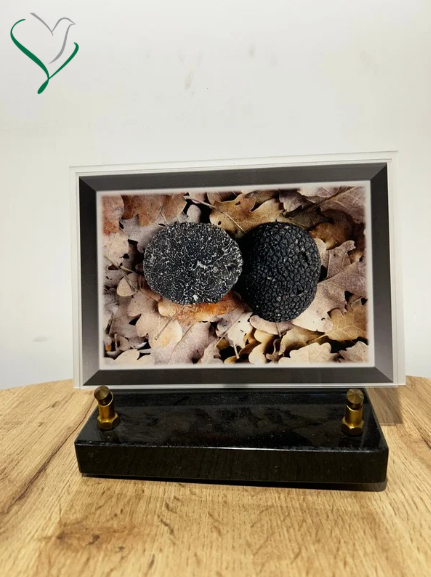 truffes