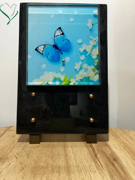 papillon bleu